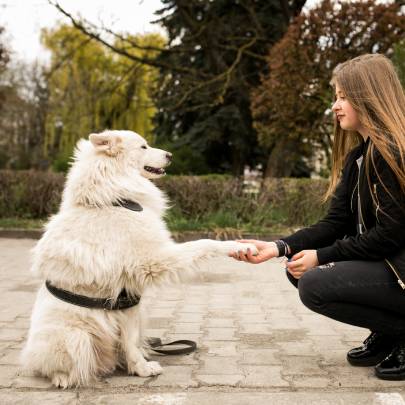 L’éducation positive : Positive mais pas spectaculaire…