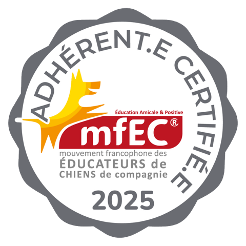 Logo MFEC